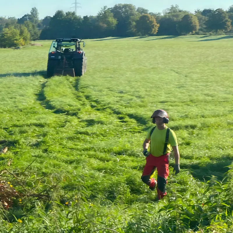 Astreine Baumarbeiten Landschaftspflege