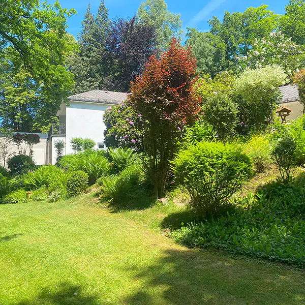 Astreine Baumarbeiten Gartenpflege