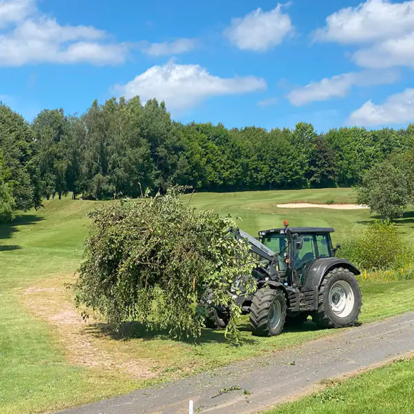 Astreine Baumarbeiten Landschaftspflege